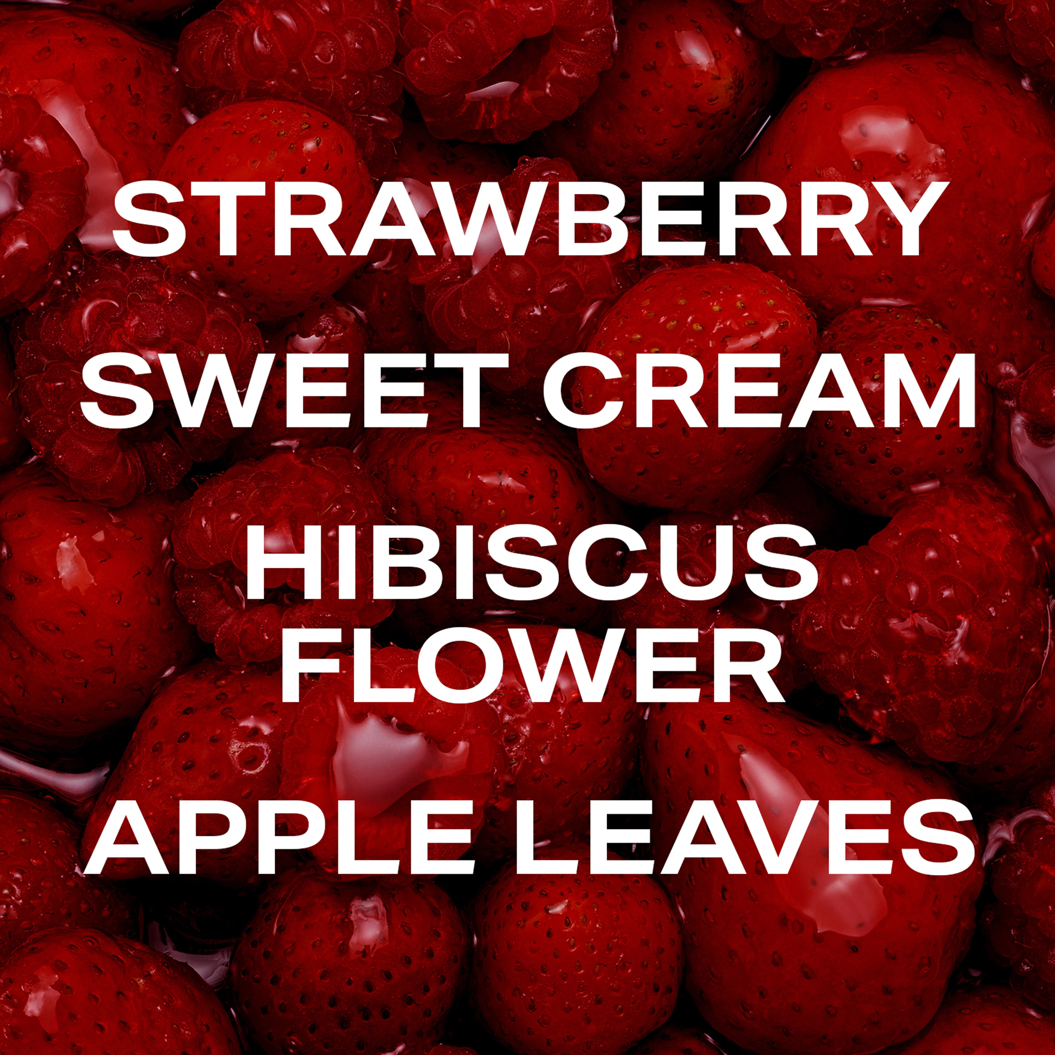 Berry Cream - Travel Size Body Mist - Image 3