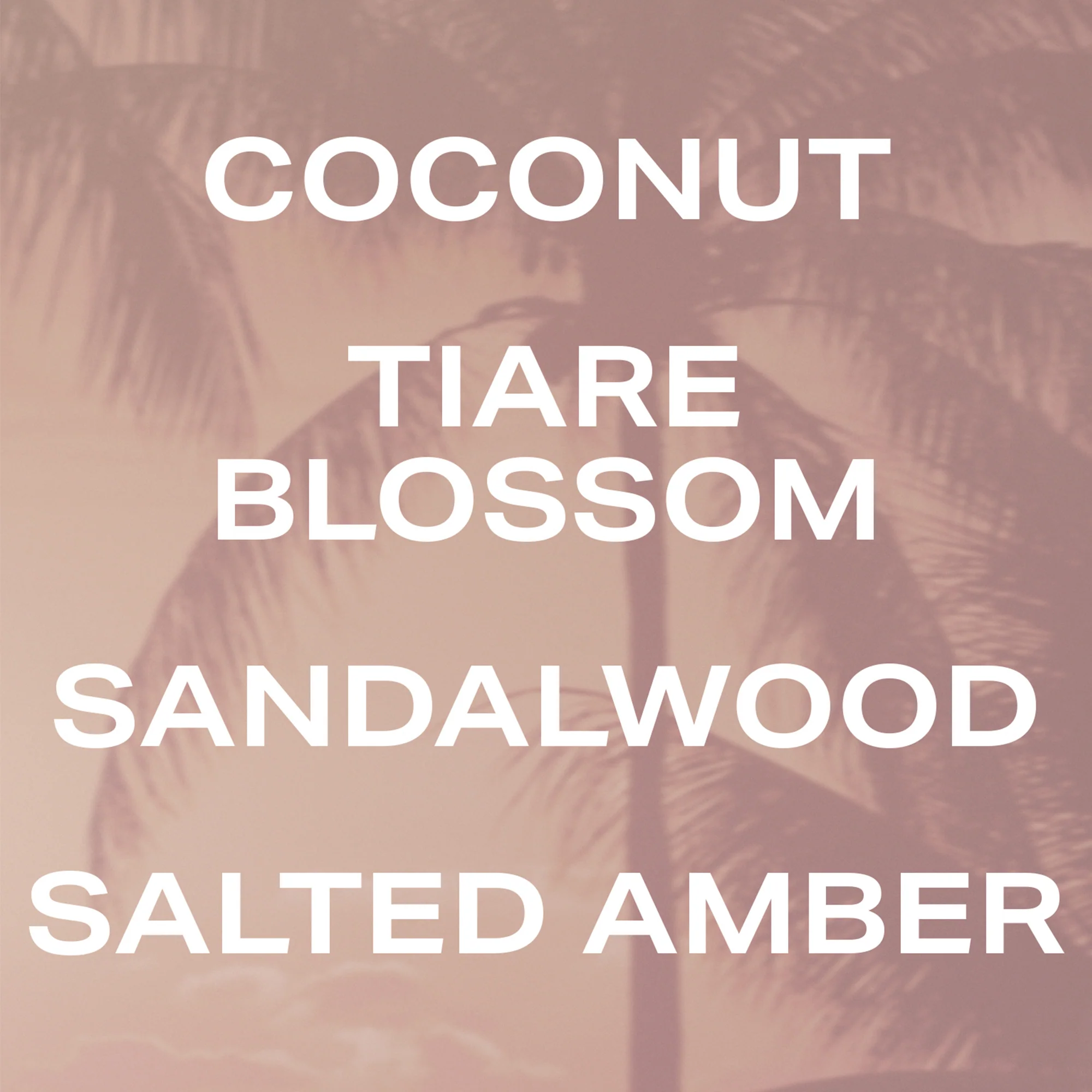 Coconut Skin - Body Mist - Image 3