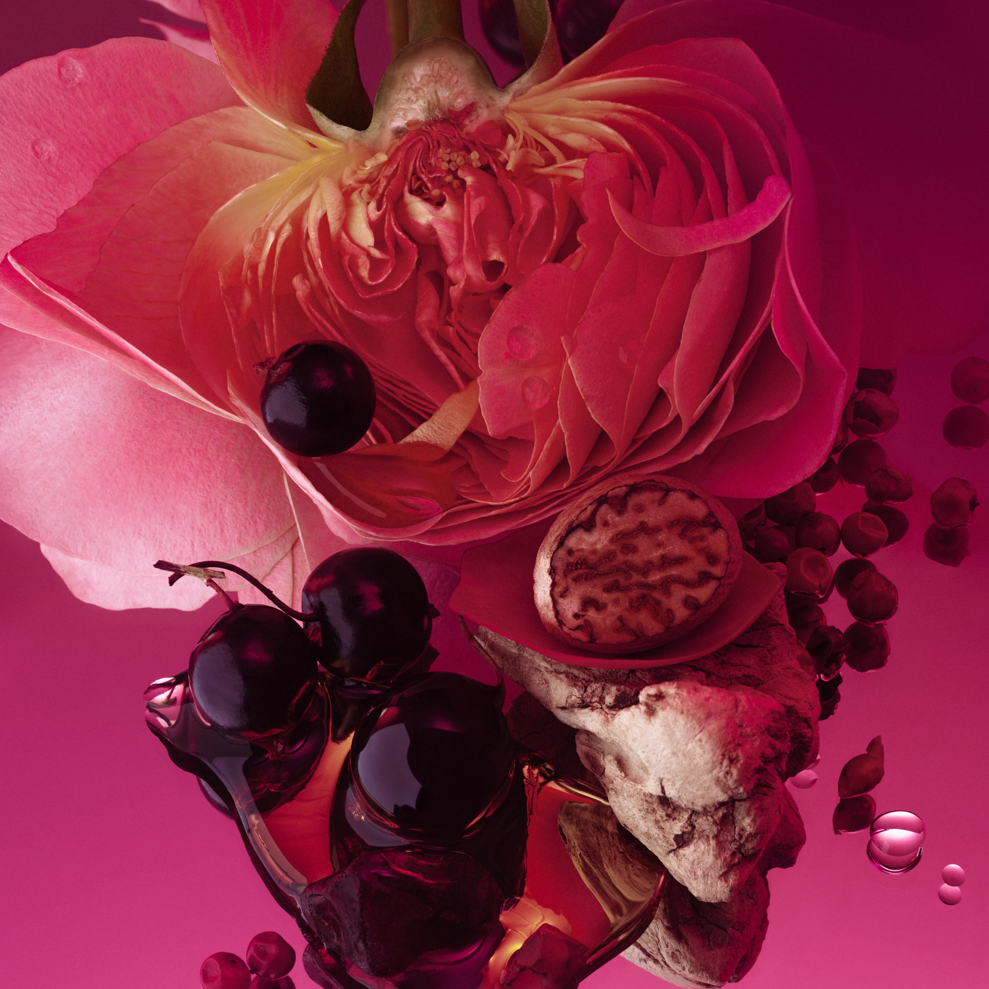 Rose Whip - Fragrance Duet - Image 3