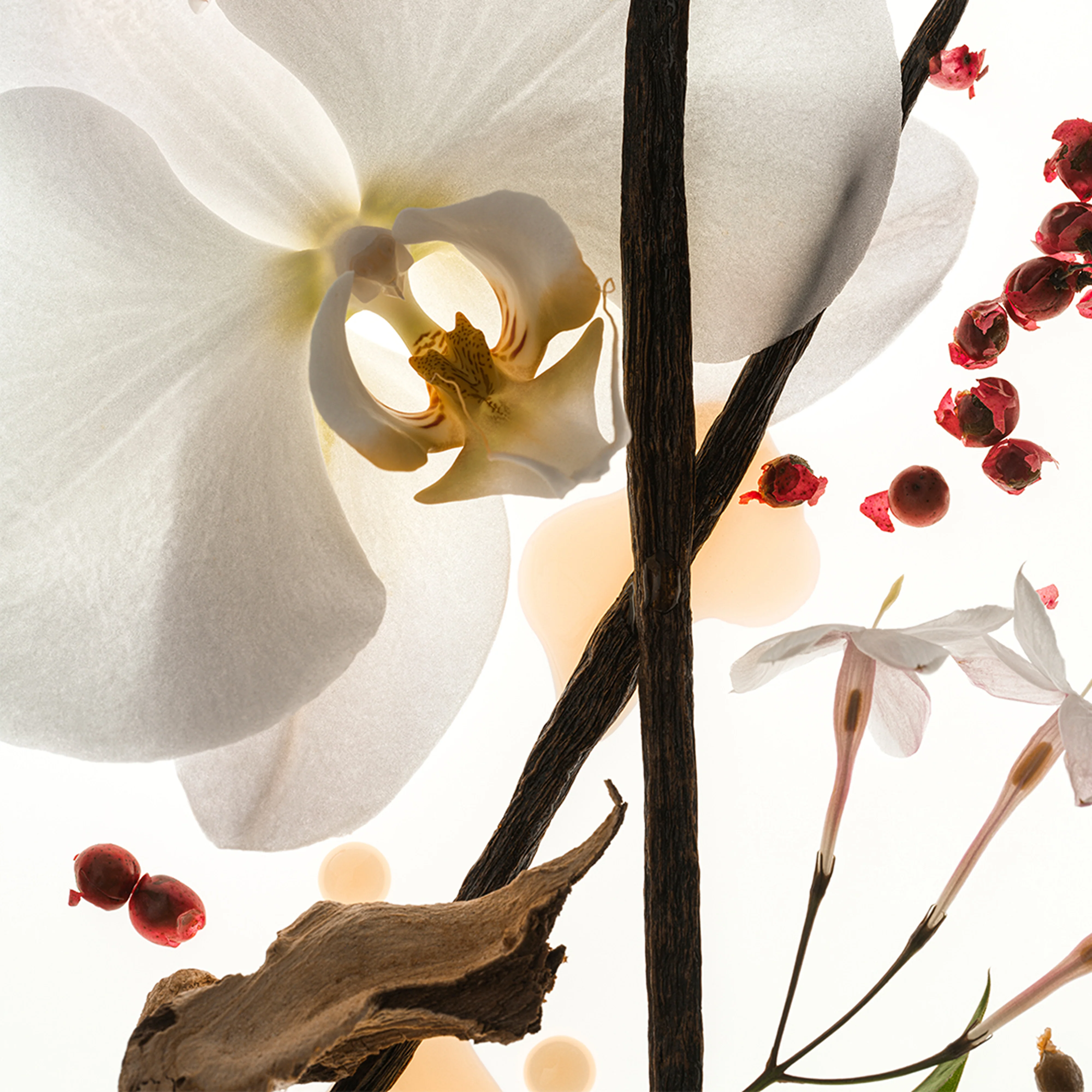 Vanilla Skin - Body Oil - Image 4